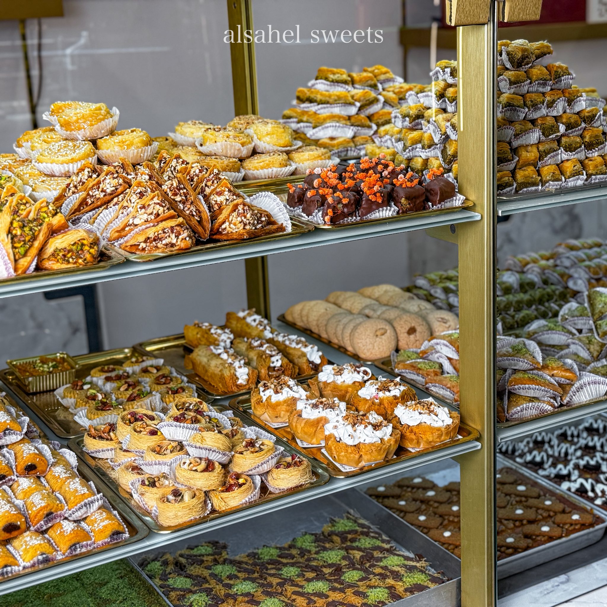 معرض التورتات